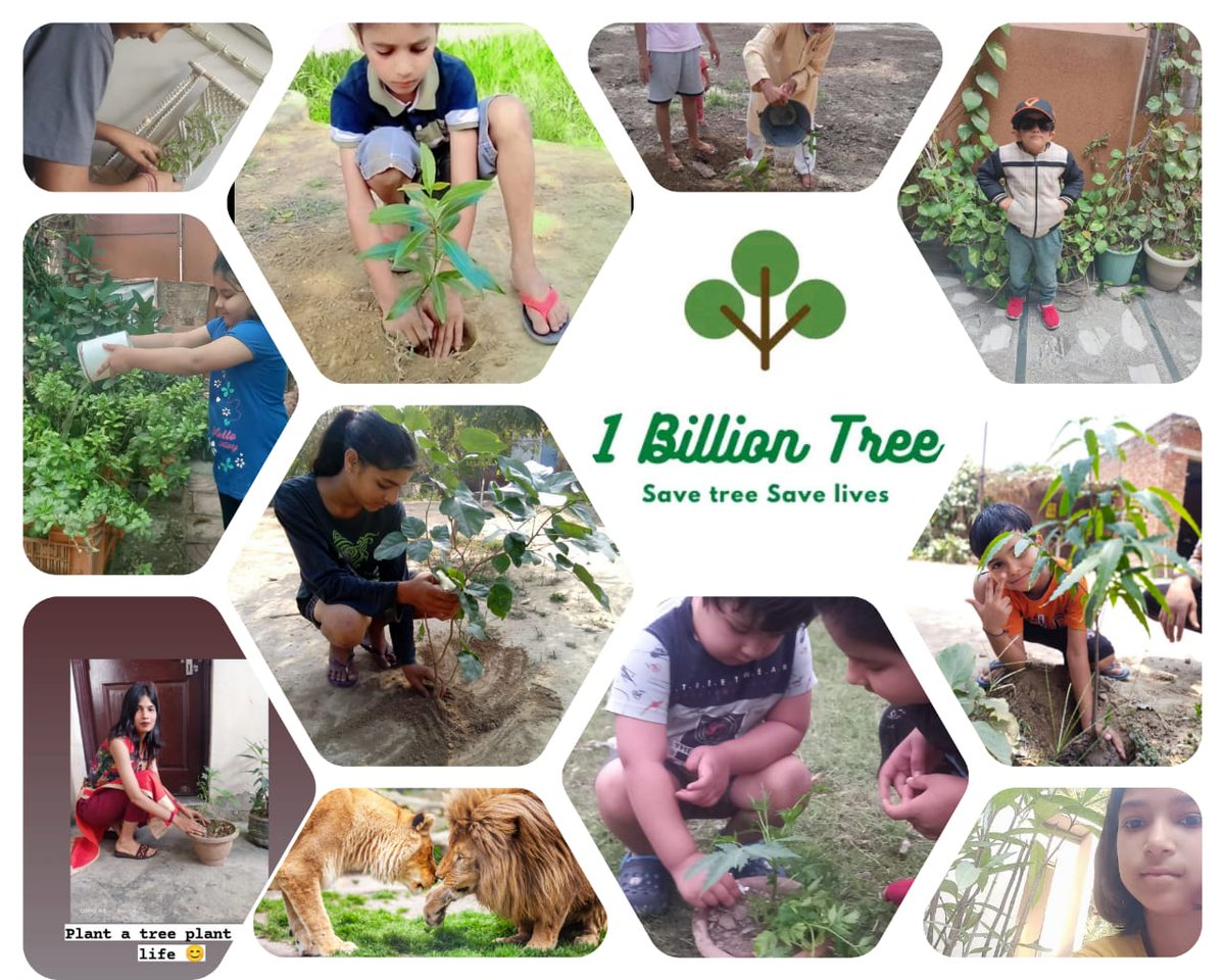 1billiontree's tweet image. Thanks all for such an overwhelming response to our"Selfie with a Tree"campaign
#1billiontree #worldenviornmentday #globalwarmingisreal #tree #SelfieWithATree #SDGs #greenplanet #greenearth @PTI_News @ParveenKaswan @pargaien @YashMor5 @moefcc @theGCF @BBCHindi @HCCB_Official