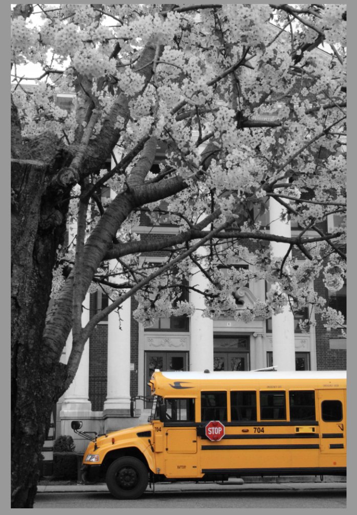 moaklikesart's tweet image. Photography 1 &amp;amp; 2 students  learned about  color selection techniques with Photoshop @BayShoreSchools @bayshorearts #colorselection #highschoolphotography