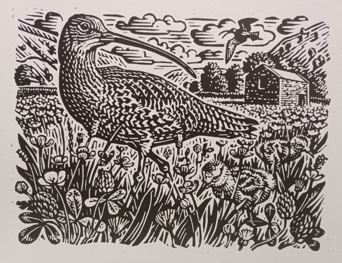 Printed new #linocut today 'Summer Curlew' to submit to @swlanaturaleye 60th anniversary exhibition in Nov, open to all wildlife artists, see swla.co.uk/news/exhibitin… @mallgalleries @artpublishing @ukprintmakers @curlewcalls @CurlewCountry @Art_Watermark