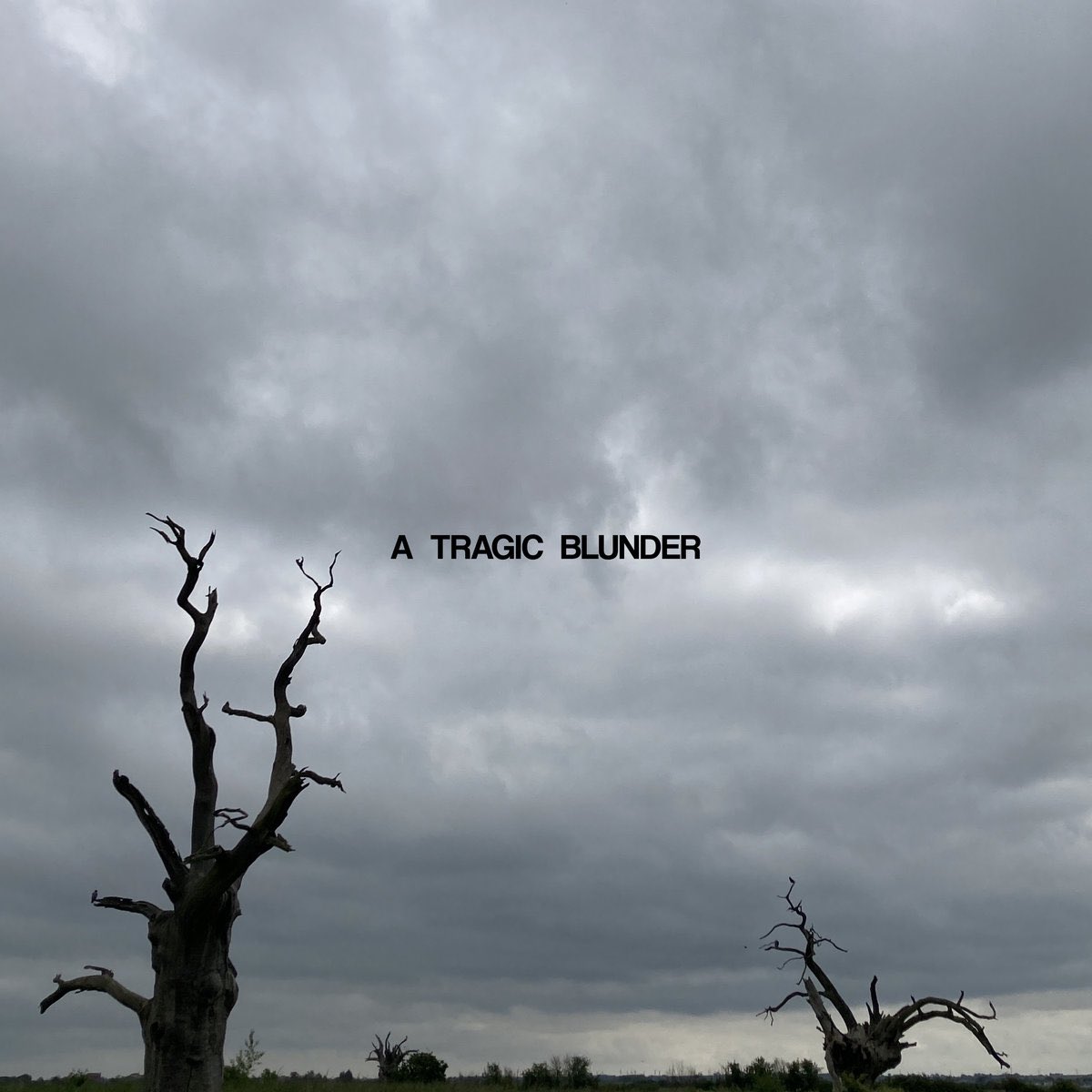 new song

thetumbledryerbabies.bandcamp.com/track/a-tragic…