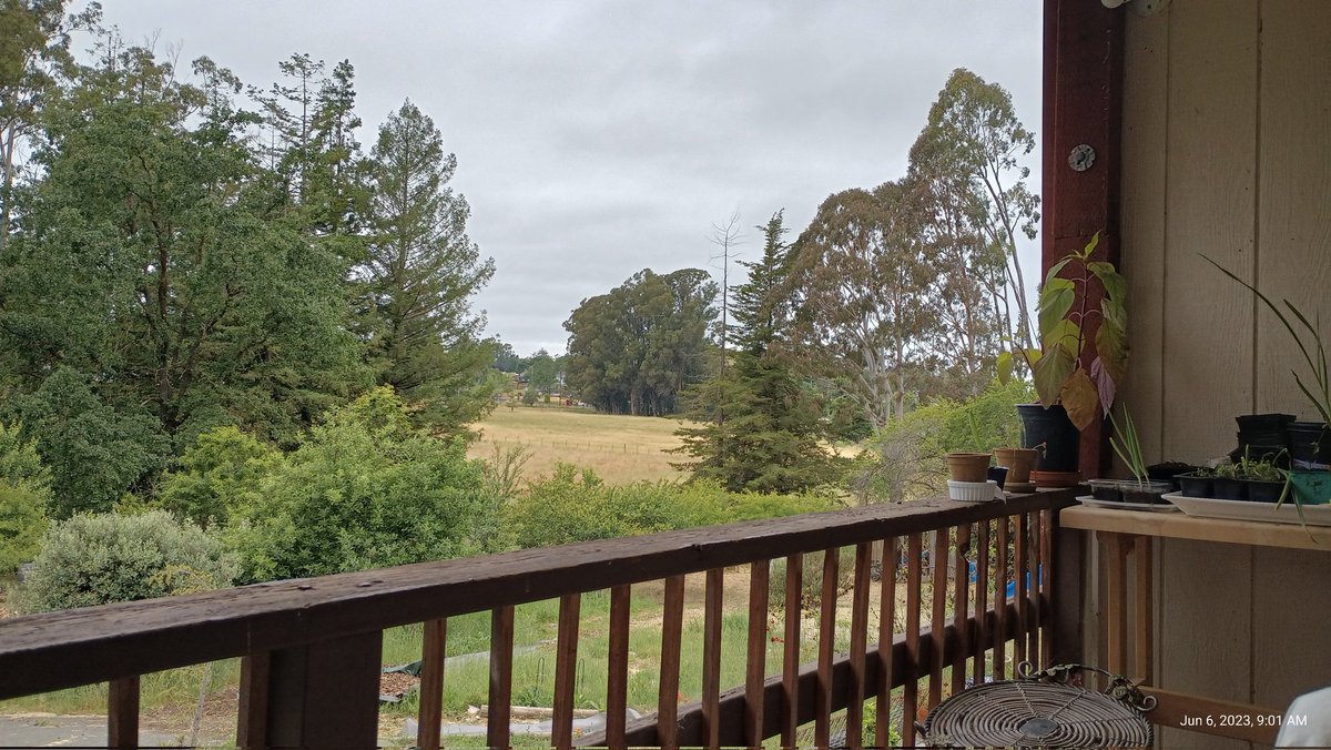improvscience's tweet image. Guests of the first improvscience retreat in Sonoma County will be seeing country morning views like this.