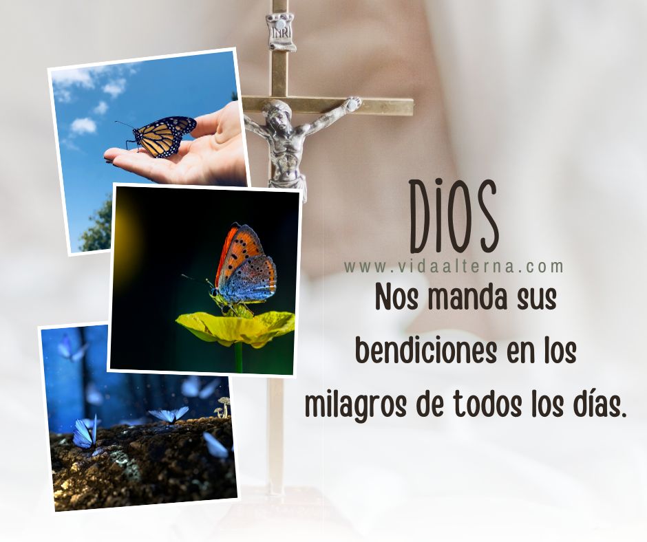 #Pensamientos Las alas de una mariposa... 🦋🙌 #FelizDía  #Dios pensamientos.com.mx/las_alas_de_un…