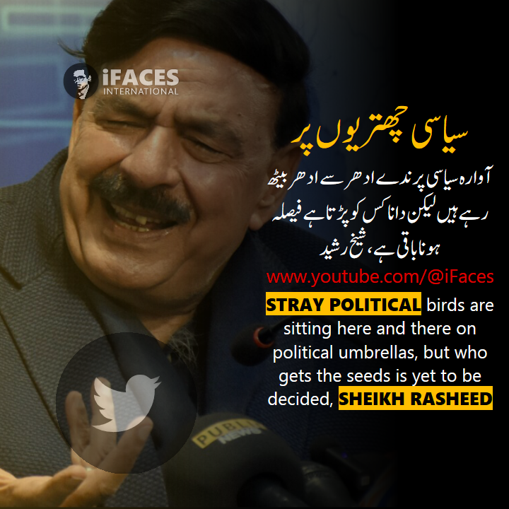 iFacesNews's tweet photo. Stray political birds are sitting here and there on political umbrellas, but who gets the seeds is yet to be decided, Sheikh Rasheed. #ifaces - https://t.co/PqLe0bGLBG