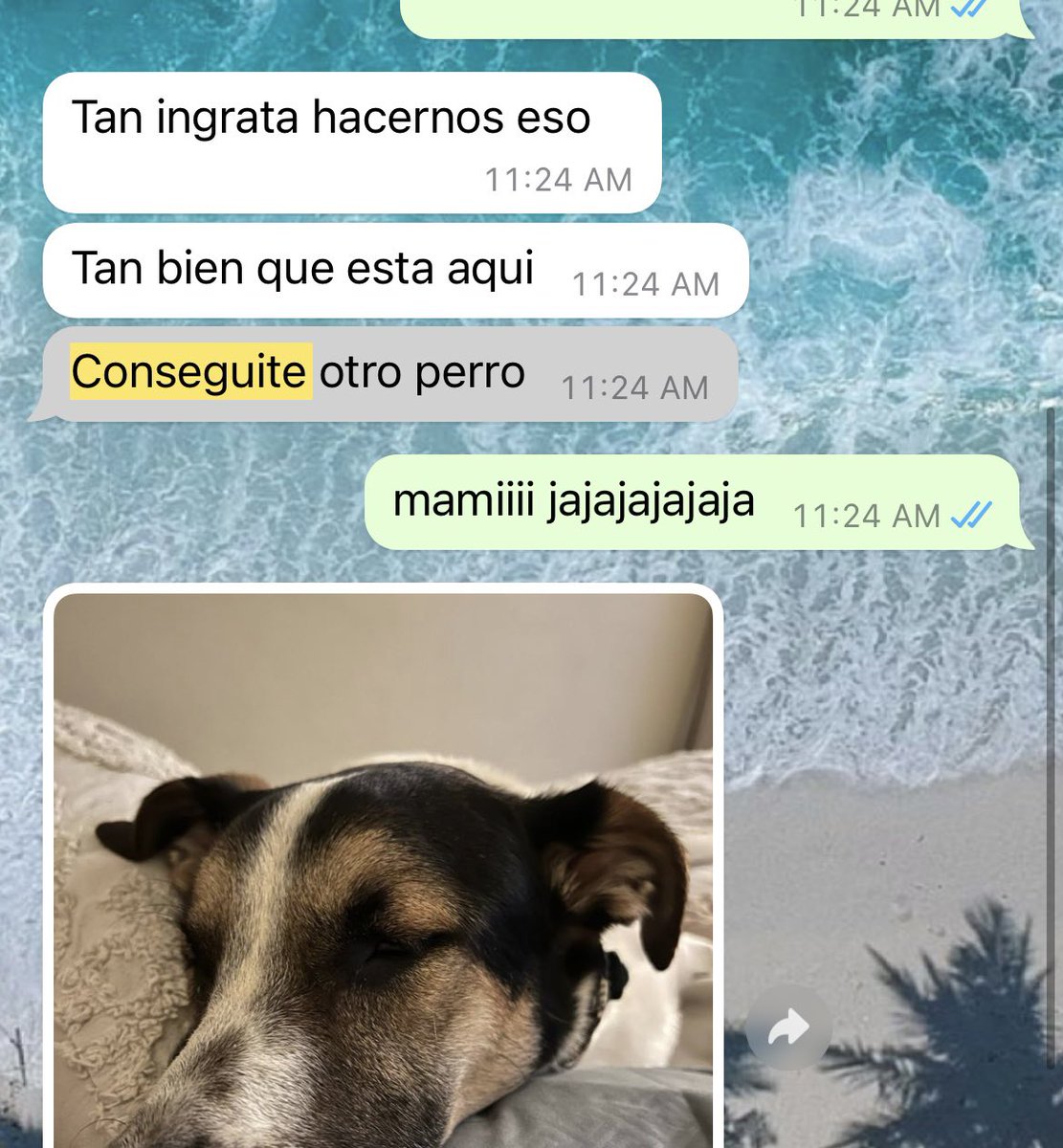 Se quería dejar mi bendi 😂❤️ mi mamá es lo máximo