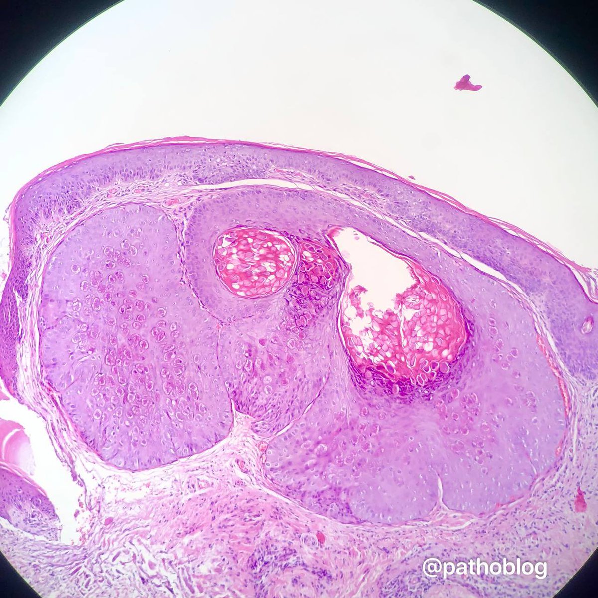 Anna Vasileva tweet media