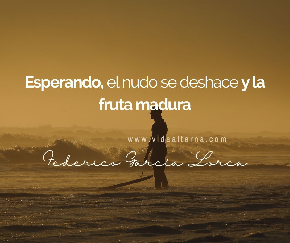 #Federico #García #Lorca, #poeta, #dramaturgo y prosista #español, considerado uno de los más grandes poetas que #España ha tenido en el siglo XX. 📜✍️🇪🇸amor.com.mx/federico_garci…