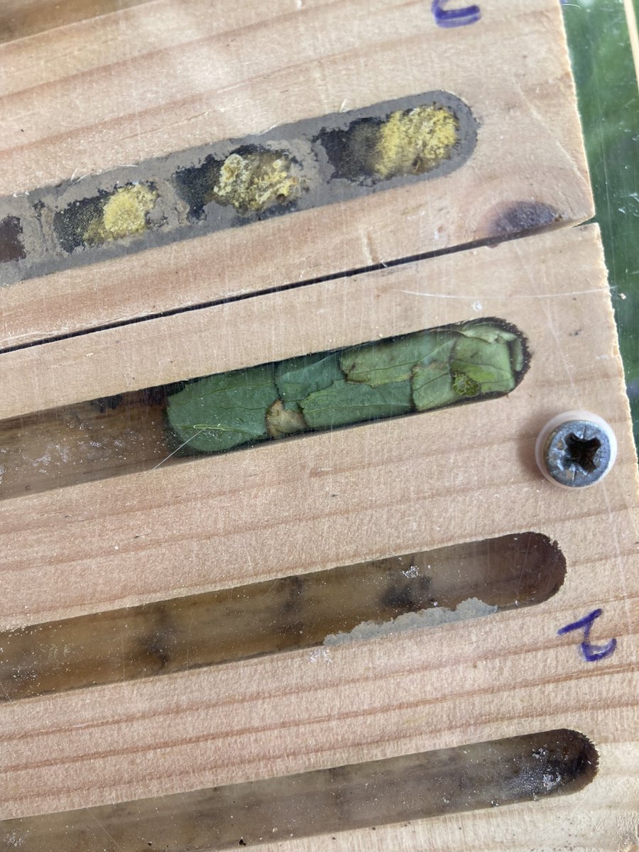 Kate Bradbury 🏳️‍🌈 tweet media