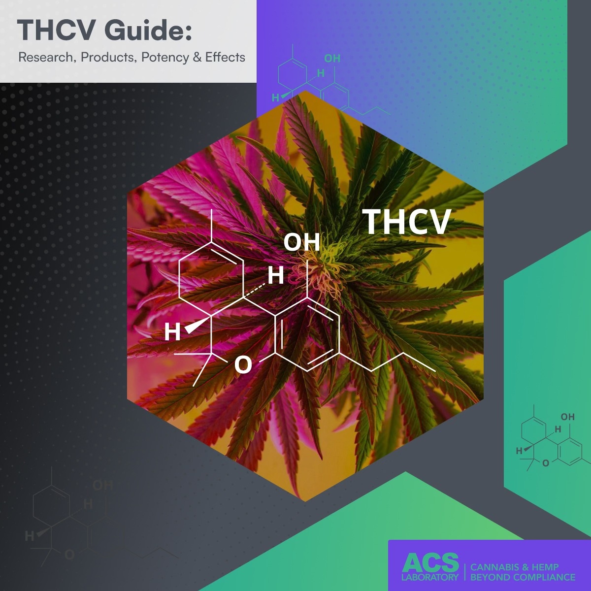 Discover the power of THCV! Similar to THC but with unique properties, THCV offers potential benefits for appetite, mood, and pain regulation.

tinyurl.com/mr44k9da

#THCV #THC #altcannabinoids #hempderived #cannabis #hemp #hemptesting #thirdpartylab #ACS #ACSLaboratory