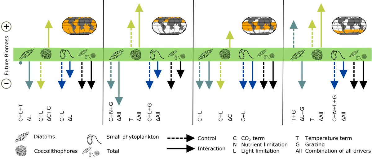 || NEW RESEARCH ||
Interaction matters: Bottom‐up driver interdependencies alter the projected response of #phytoplankton communities to climate change

📄 bit.ly/3NbLB1x @MiriamSeif @JudithHauck <a href="/AWI_de/">AWI Medien</a> <a href="/AWI_Media/">AWI Media</a>