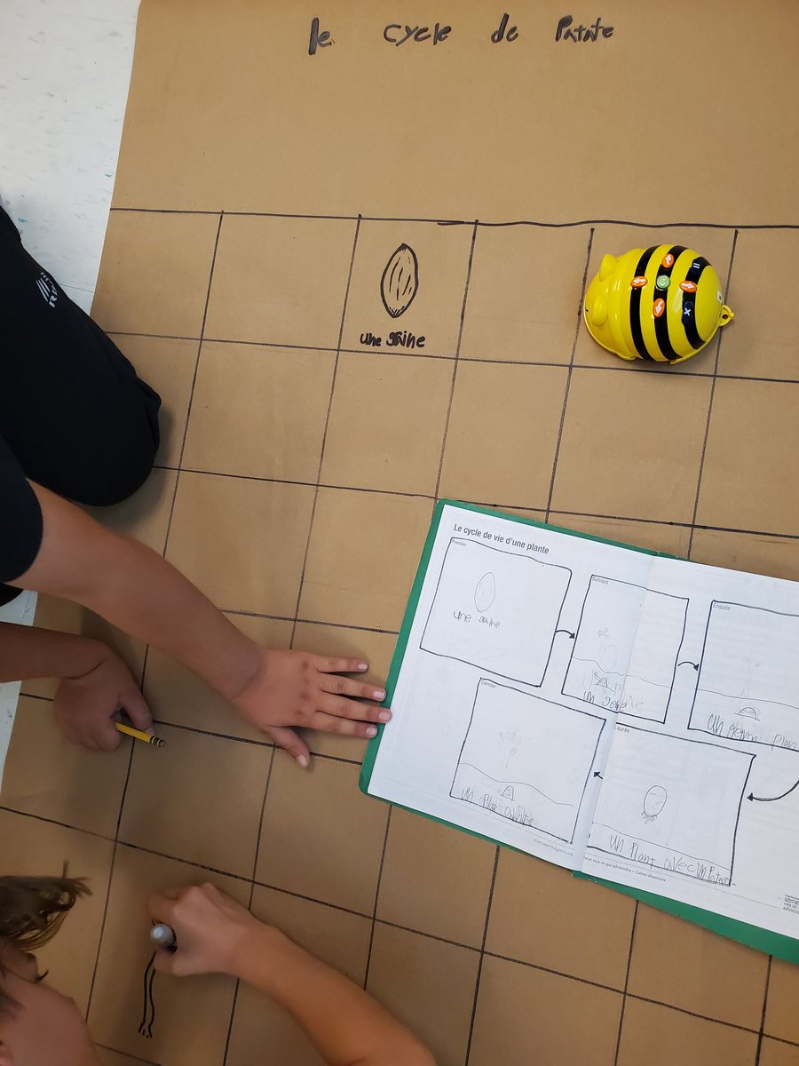Learning about plant life cycles with Bee-Bots!