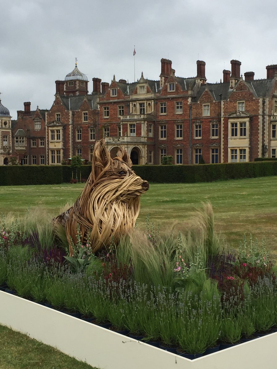 Theydon Bois Primary tweet media