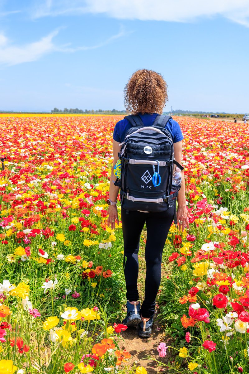 MyPeakChallenge's tweet photo. Our best-selling Peaker Pack — perfect for use at home🏠, at the gym🏋️‍♀️, or on travels✈️.

SHOP NOW: https://t.co/Zd1ujk23IA 

#MPC2023 #MPC
#MyPeakChallenge
#SamHeughan https://t.co/3RG7XKOTwI