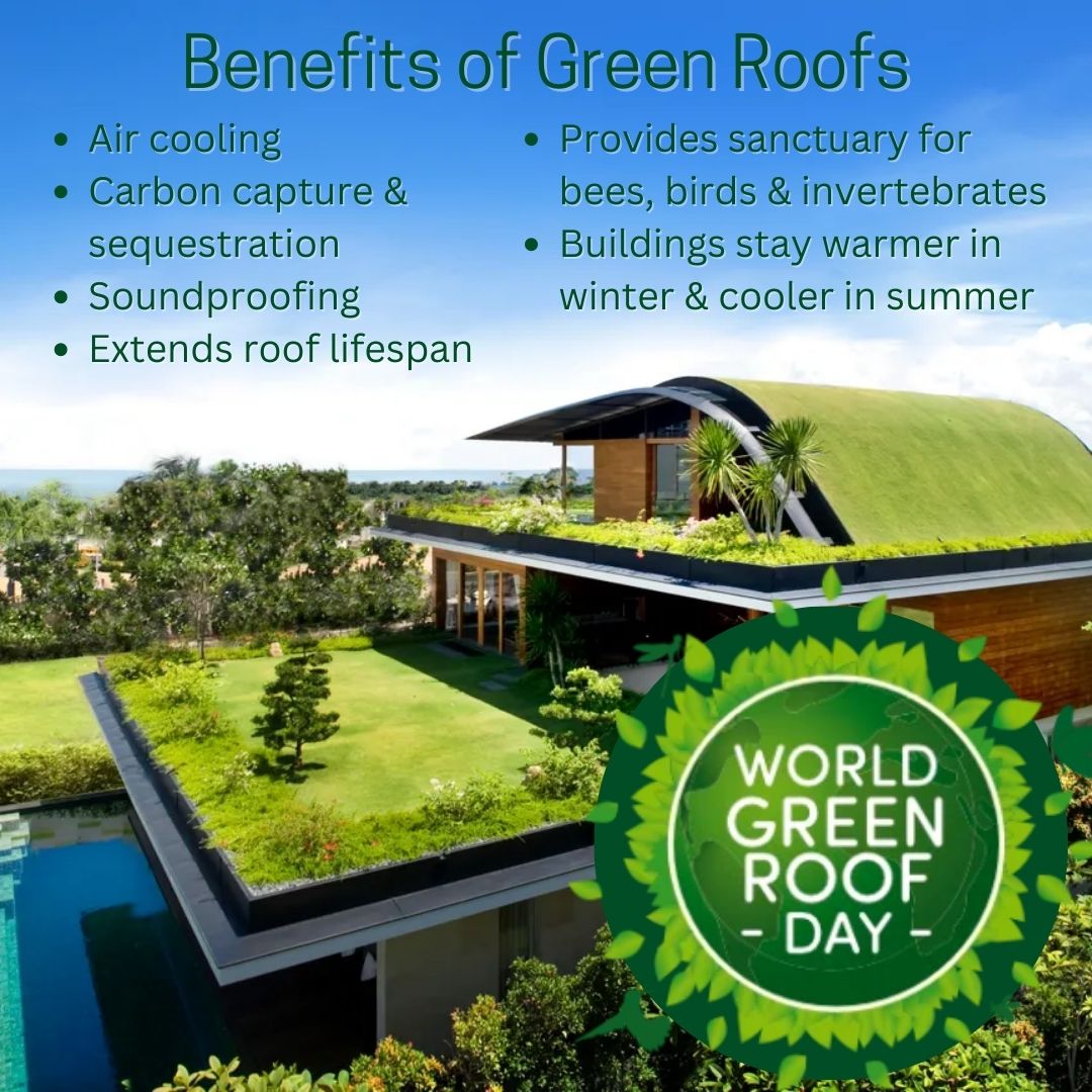 Happy World Green Roof Day! 🌿🍃☘️🏯 Let your city planners know you want to see more #greenroofs where you live and work!
#WGRD2023 #urbanplanning #buildingtechnology #livingarchitecture #greeninfrastructure #greenbuildings #leed @WorldGreenRoofs