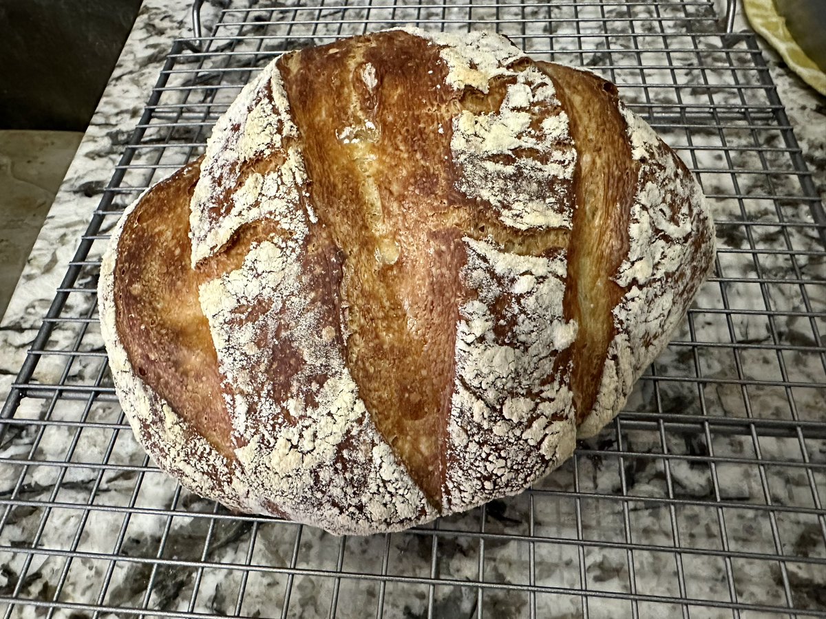 phil on Twitter "now accepting “great bread, phil” replies"