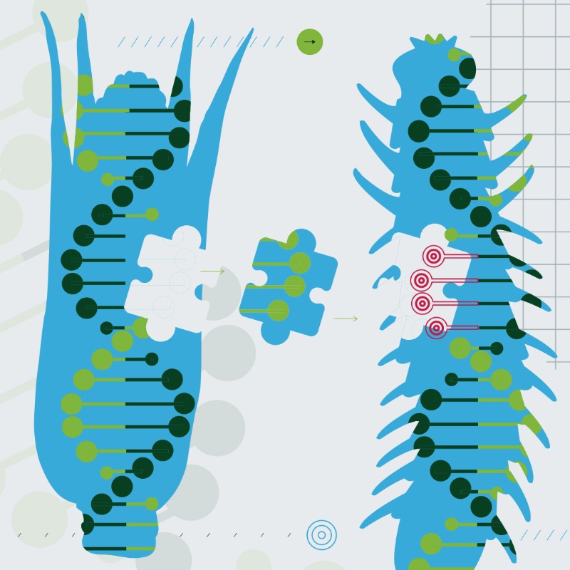 Bayer4Crops's tweet photo. Corn rootworm may be tiny, but it's a huge threat. RNAi technology is an innovative approach to pest control that uses the rootworm’s natural processes against itself so that farmers can protect their crops. That's #ScienceForBetter #CSInnovationSummit https://t.co/MrOLQickBz