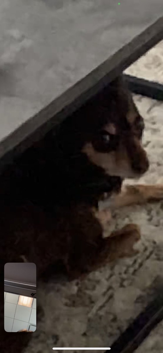 i love facetiming my son