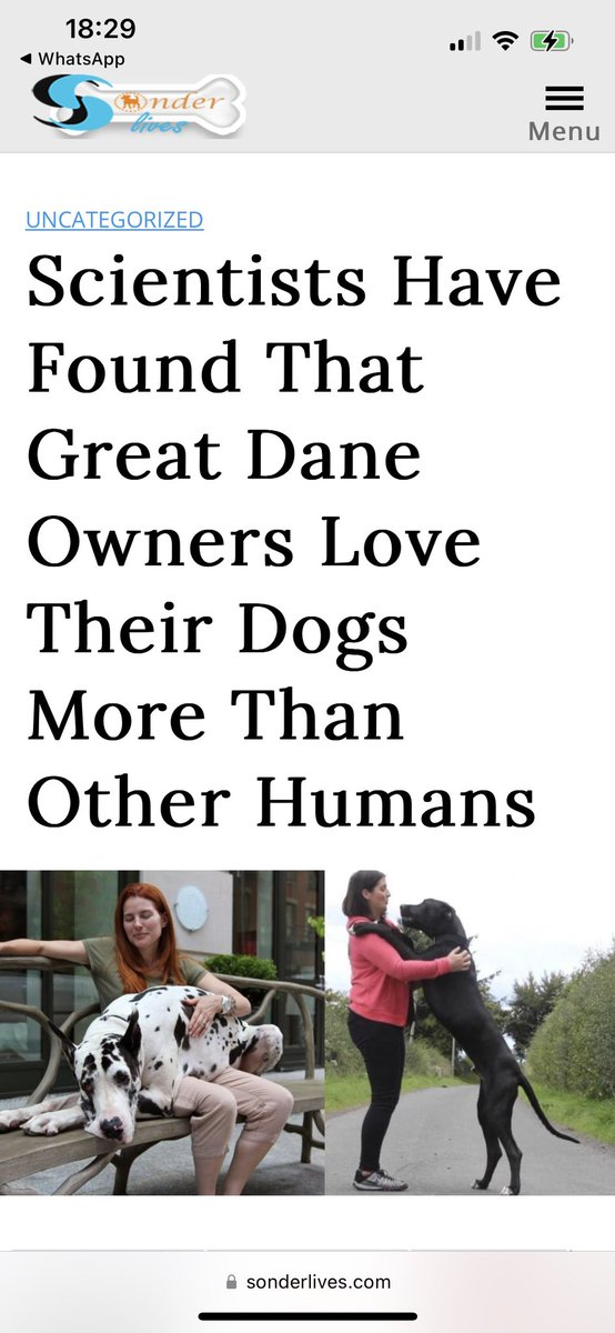 Orla Smyth tweet media