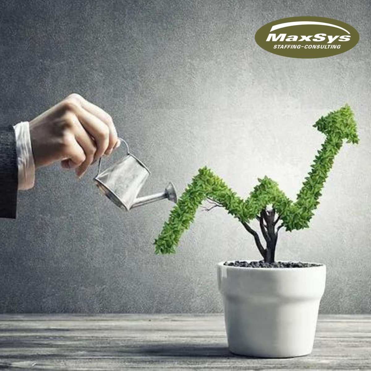 #blog Growing your business: Sometimes, it’s about scaling up and expanding. But in every case, growth is about increasing the value in the business.

Make sure to read the full blog post for more details: maxsys.ca/organic-growth…

#blog #blog2023 #organicgrowth #buisnessgrowth