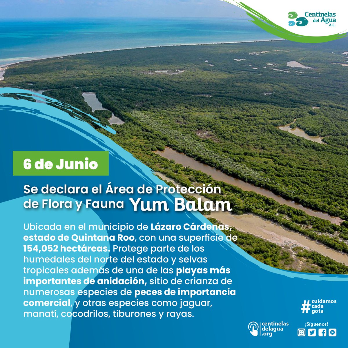 Centinelas del Agua on Twitter "🌿🐾 Un día como hoy se declara el Área