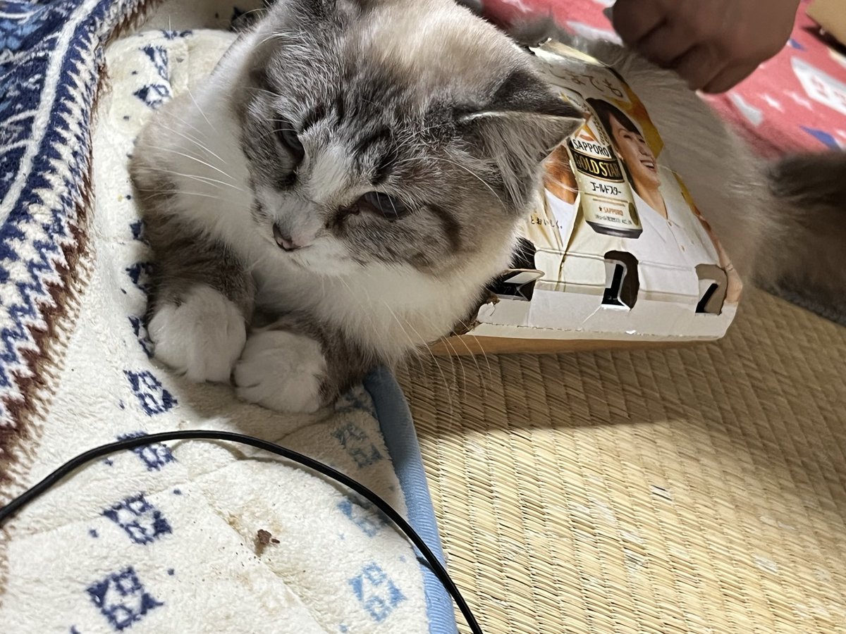 basokiya2's tweet photo. @mifuyu_916 どぞ。 https://t.co/6671E4Rk0O