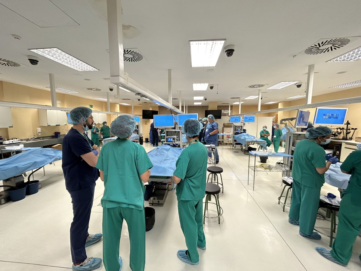 Delia Cortés Guiral tweet media