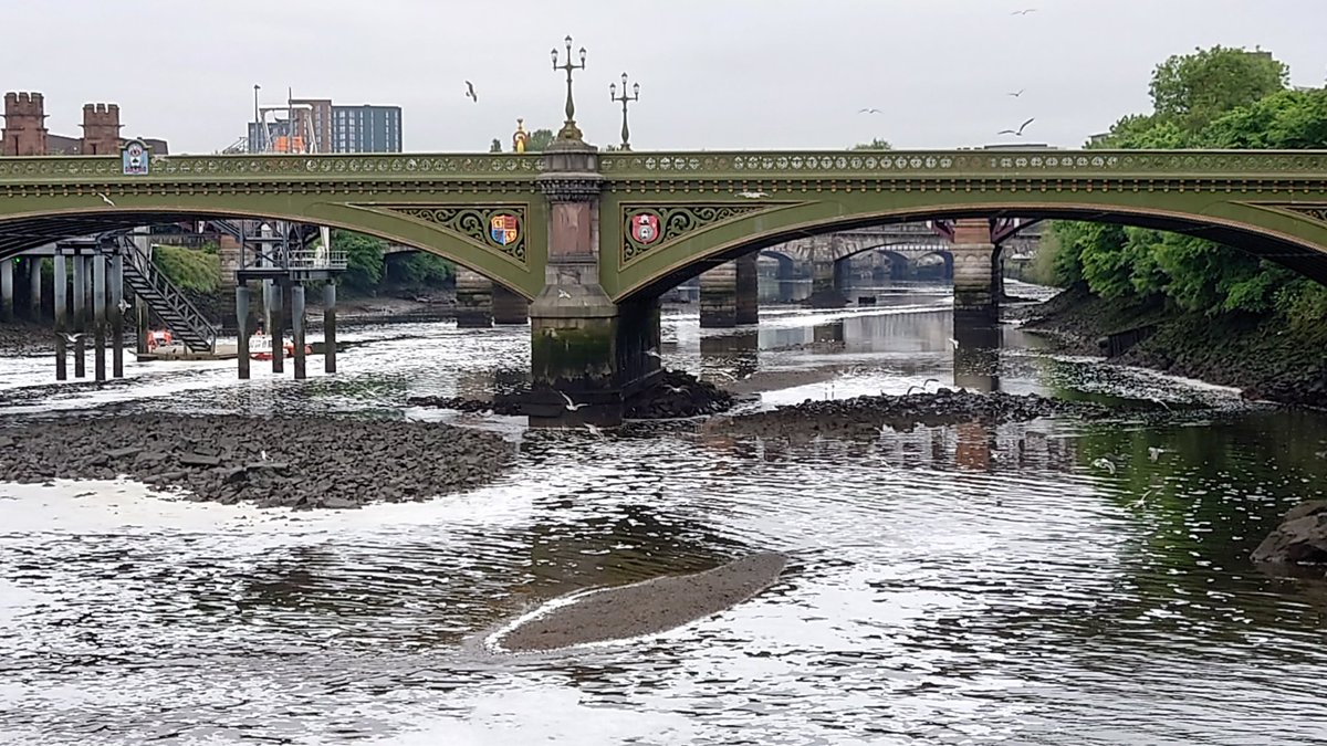 elharto's tweet photo. A rare walk to work. Can't remember seeing the #clyde so low down (and dirty) before ☀️💩😳 https://t.co/es6vTgAUt4