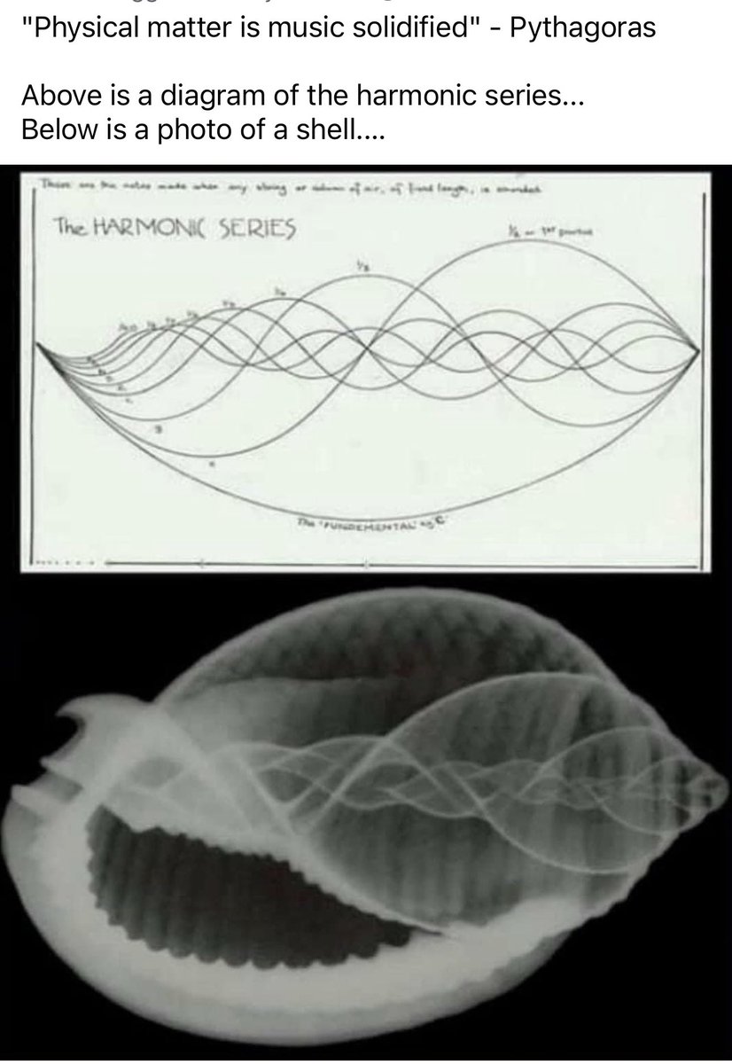 Esper Star tweet media