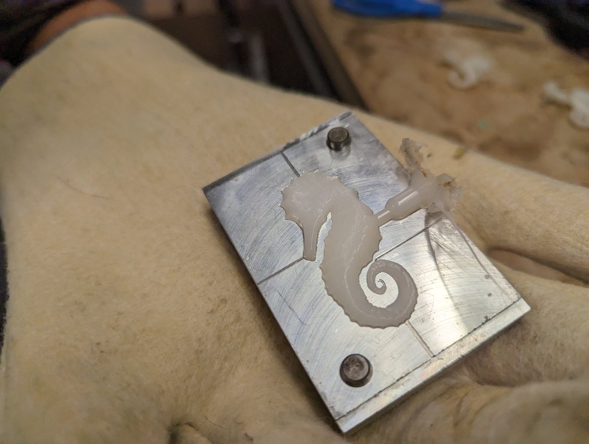 William Raymont tweet media