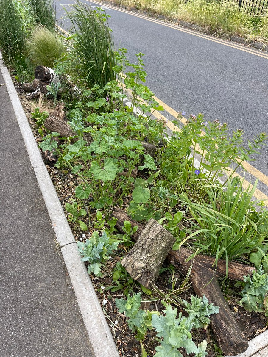 Logs added to Coppermill raingardens for insect habitat. Great work gardeners! #Walthamstow