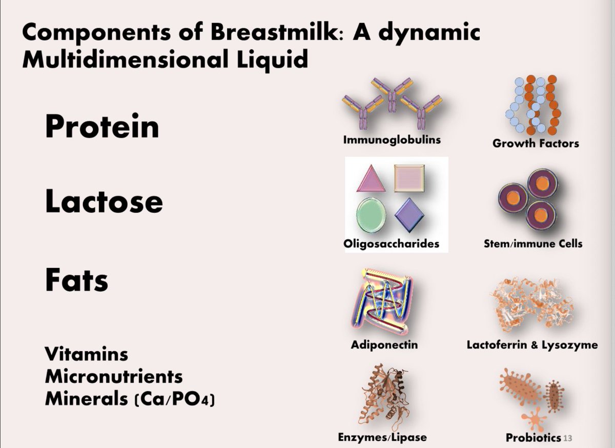 GOLDNeonatal's tweet image. Mother&apos;s own milk changes with the needs of the baby in a way that #donormilk cannot. A.EL-Khuffash #GOLDNeonatal2023 #GOLDLearning #IAMGOLD #neonatal #NICU #NICUbaby #NICUnurse #preterm #preemie #prematurity #breastfeeding #HumanMilk #MilkBank #IBCLC #nurse #NeonatalHealth