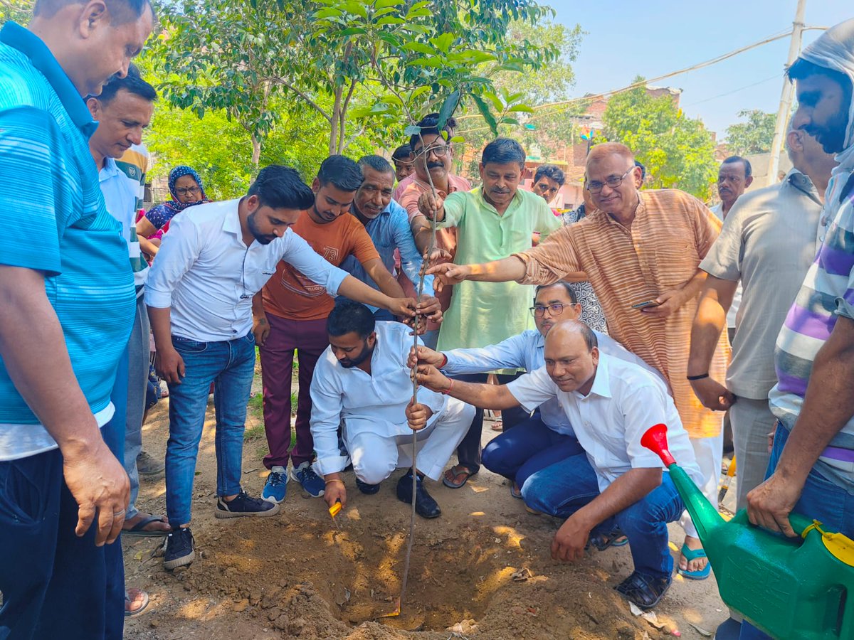 DUSIB gets 14,000 saplings from L&amp;T Construction, Water &amp; Effluent Treatment Independent Company as part of the latter's annual environment outreach programme.

 MLA of Kondli, <a href="/KuldeepKumarAAP/">MLA Kuldeep Kumar</a> participated in the plantation drive at DUSIB's Kalyanpuri Shishu Vatika.
