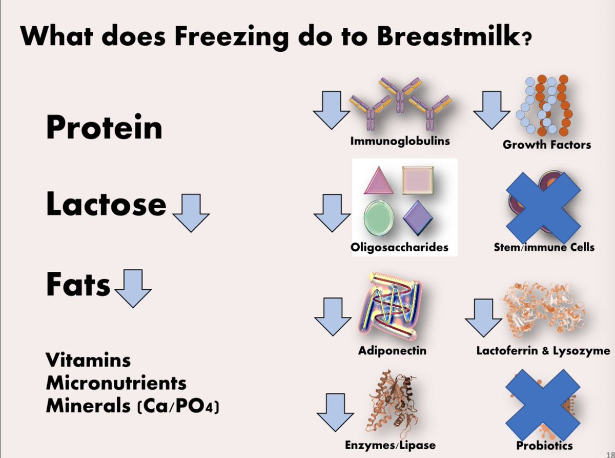 GOLDNeonatal's tweet image. Freezing #breastmilk reduces some key components. A.EL-Khuffash #GOLDNeonatal2023 #GOLDLearning #IAMGOLD #neonatal #NICU #NICUbaby #NICUnurse #preterm #preemie #prematurity #PretermInfant #breastfeeding #HumanMilk #DonorMilk #MilkBank #IBCLC #nurse #NeonatalHealth