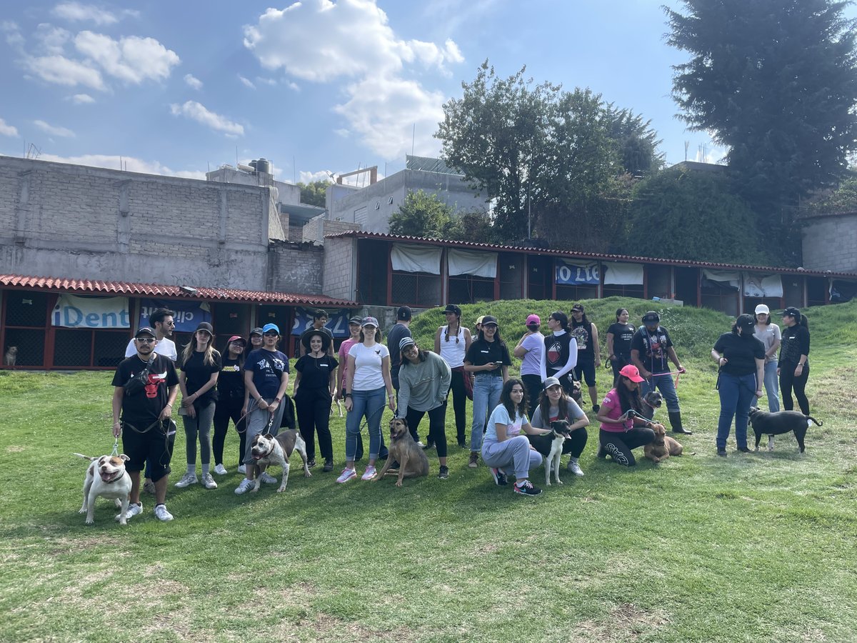 Edelman México tweet media