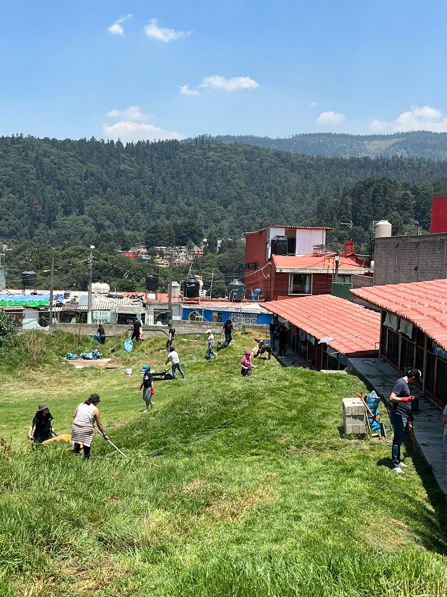 Edelman México tweet media