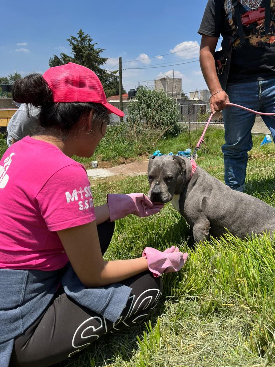 En #Edelman tenemos el compromiso de crear un impacto positivo en la sociedad y nuestro comité de #Citizenship nos ayuda a hacerlo realidad. Gracias a <a href="/RescatePitbull/">Rescate Pitbull</a> por abrirnos sus puertas y permitirnos apoyarlos en la limpieza de su refugio, conocernos y divertirnos. 🐶