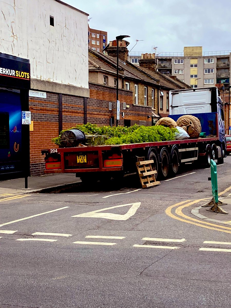 JamesAsser's tweet image. New #trees being delivered and planted on Green Street for the improvements in Queen’s Square. 

#Newham #GreenStreet #StreetTrees