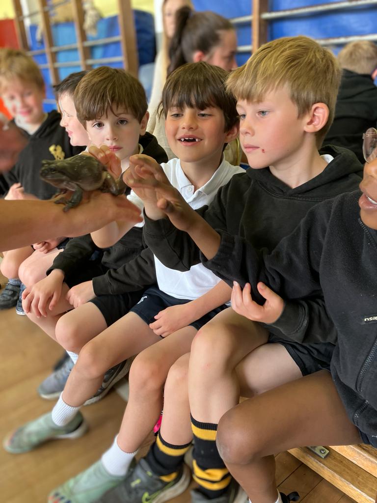 InchmarloPrep's tweet photo. The Key Stage One boys had an amazing morning meeting some very exotic creatures! π¦π’ππ·
The boys impressed with their knowledge about rainforests, amphibians and reptiles.
#primaryschoolscience #worldaroundus #jungle
#InchmarloItAllStartsHere https://t.co/BEYOXC2Eot