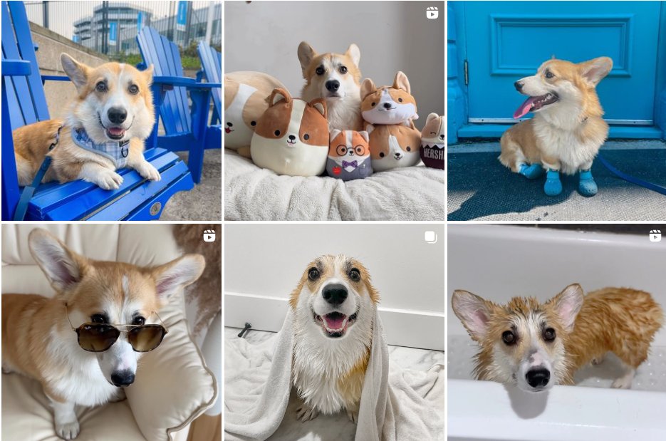 Butterfly 🦋🌷 tweet media