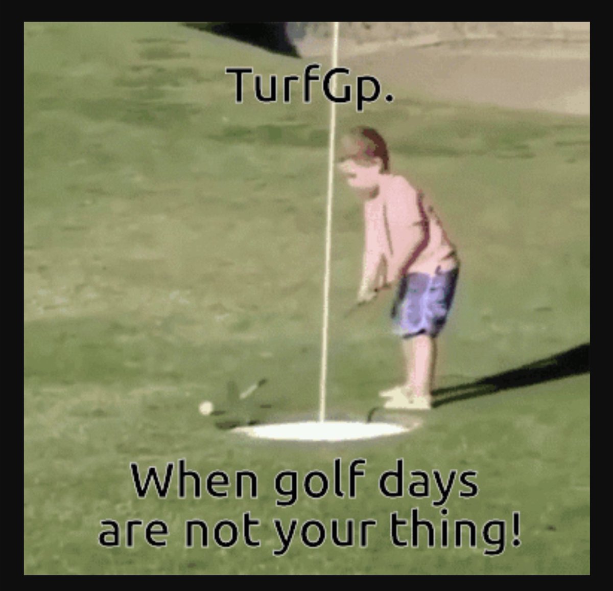 Turf GP (@turfgp) on Twitter photo 