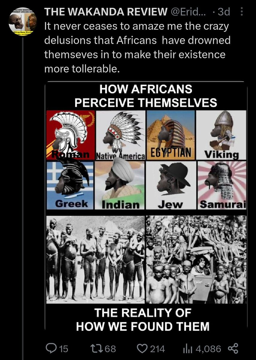 So first off, black people have existed in most of those societies (though usually in small numbers). 
Second off, Sub-Saharan Africa has been home to many advanced civilizations. Black people have plenty of fascinating history. You're just ignorant and racist.