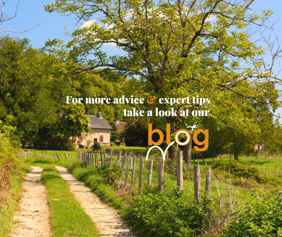 Looking for French inspiration before summer? Discover the latest tips and information on our 'revolutionary' blog. A+ ✋🇫🇷 ow.ly/IZbl50DRhT8  #propertytips #frenchproperty #propertyblog #France