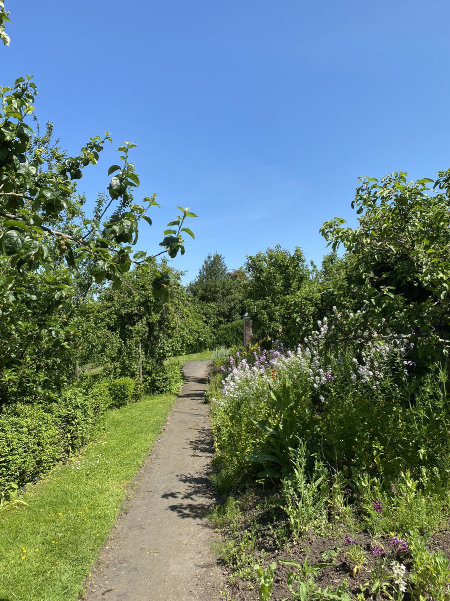 The Hidden Hedged Gardens of Warwick #HillCloseGardens