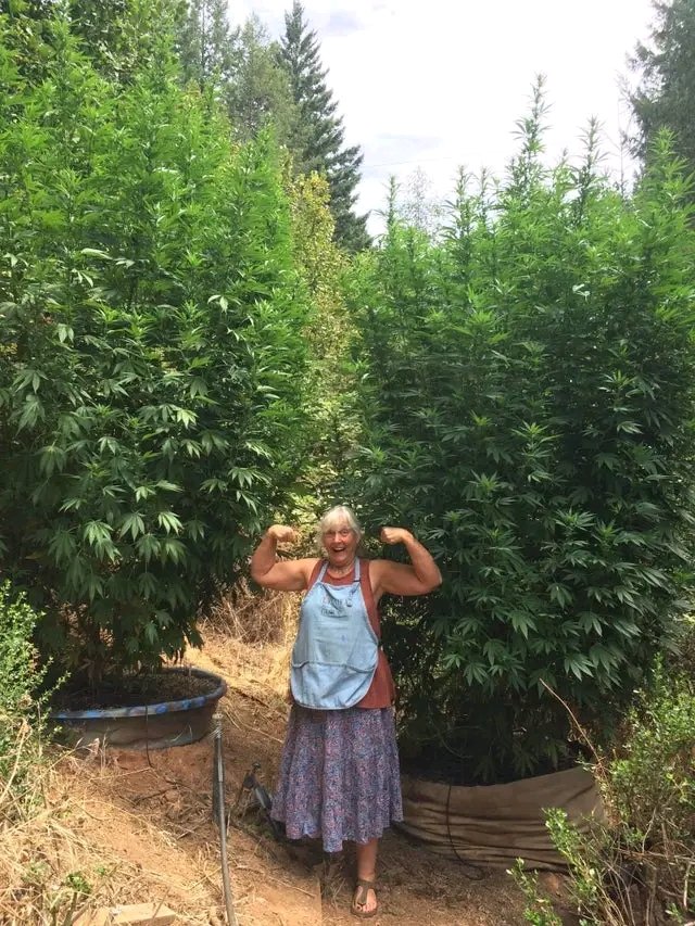 robert89486's tweet image. 