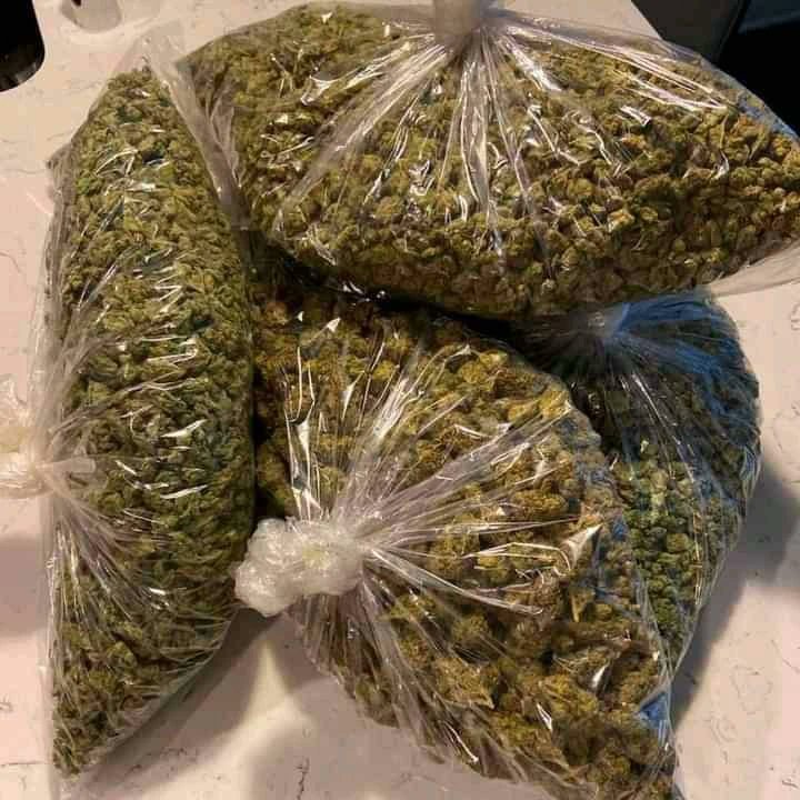 robert89486's tweet image. 