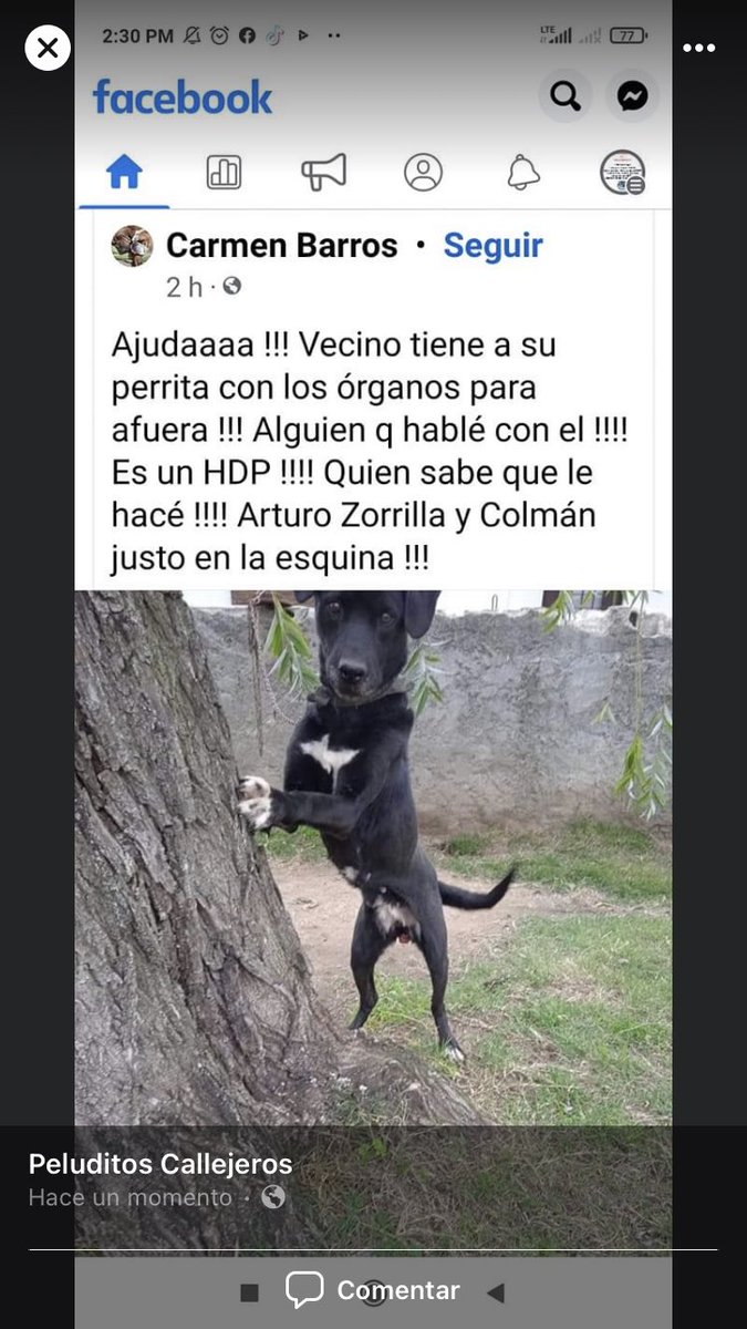 CUALQUIER PERSONA DE LA ZONA QUE PUEDA APORTAR DATOS SOBRE LA IDENTIDAD DEL PRESUNTO ABUSADOR DE ÁFRICA POR FAVOR COMUNICARSE CON NOSOTROS🙏 SABEMOS QUE ALQUILABA EN LA ZONA PERO DE MUDÓ Y EL ALQUILER ERA EN NEGRO