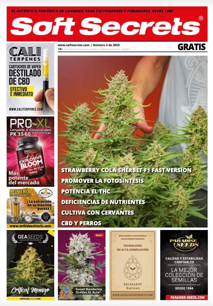 SoftSecrets_ES's tweet image. 😆 ¡Ya salió la nueva #SoftSecrets llena de artículos que te sorprenderán!
issuu.com/sandrasoftsecr…