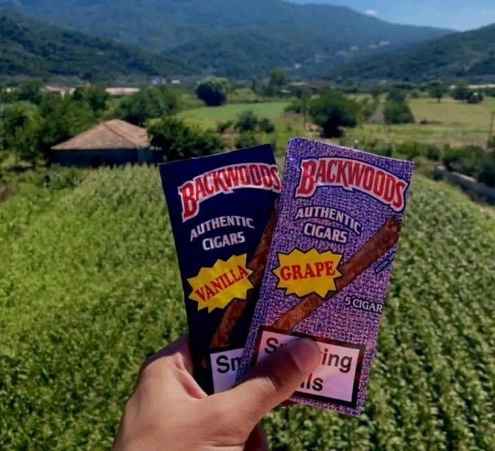 robert89486's tweet image. 