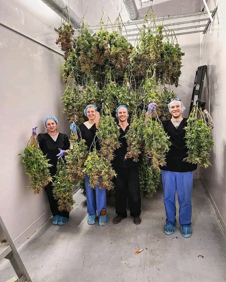 robert89486's tweet image. 