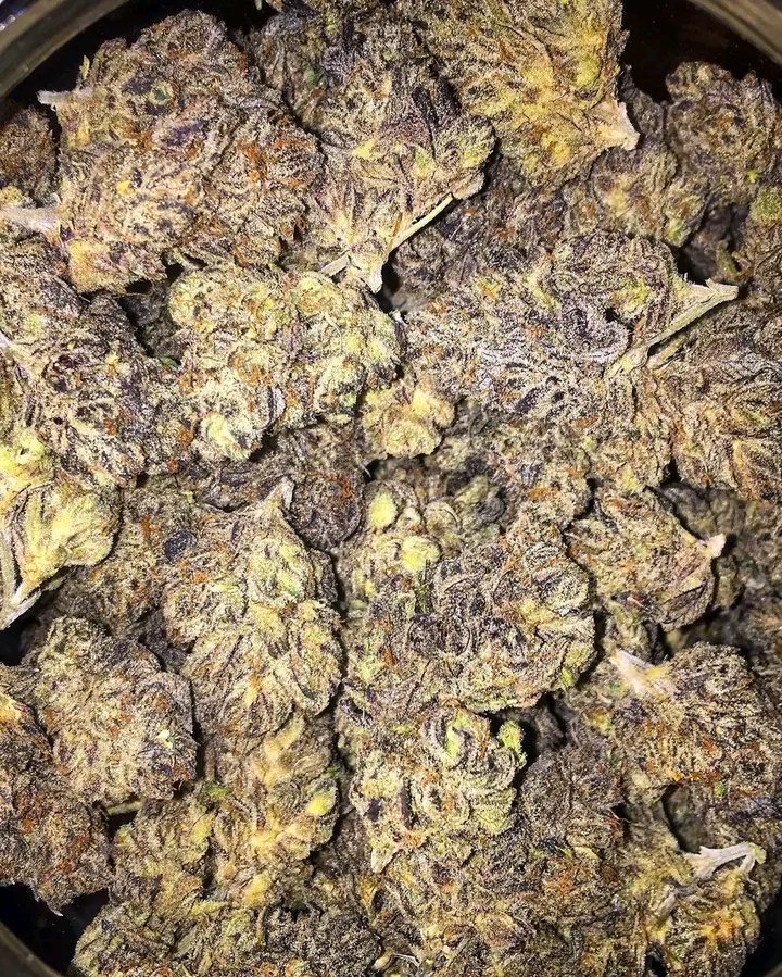 robert89486's tweet image. 