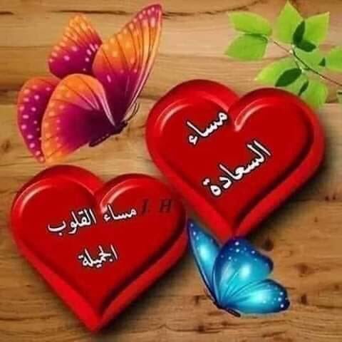 ابو الطيب ٥ tweet media